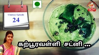 கற்பூரவள்ளி சட்னி | karpooravalli chutney in tamil | Ajwain leaves chutney Recipe | Chutney in tamil