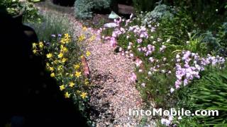 HTC Flyer camera demonstration (5-megapixel)