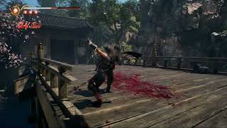 NINJA GAIDEN 2 Black part 16