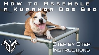 How To Put A Kuranda, The Best Dog Bed, Together  Complete Canine Training