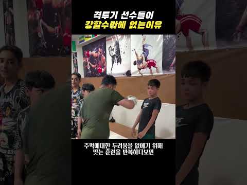 격투기 선수들이 강한 이유 thumbnail