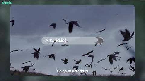 Unlimited cinematic stock footage | Artgrid.io