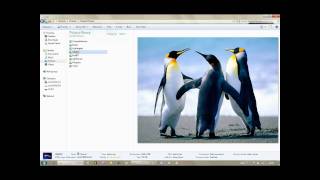 Windows7 Explorer