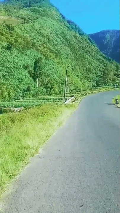 Salah satu jalan terindah di Wonosobo   #wonosobo #nature #explore #video #fyp #wisata