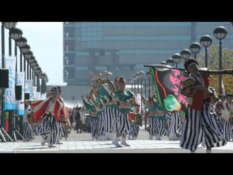 和歌山ＭＯＶＥ　2015ゑぇじゃないか祭り【海への道会場】