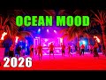 Reggaeton Club Bangers 💣 Latin Party Music for Dance Floor