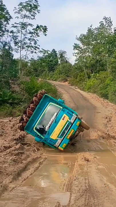 Truk sawit tumbang #shrots #sawit #muatsawit #truksawit #brondolan #muatangayor