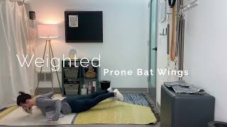 Weighted Prone Bat Wings