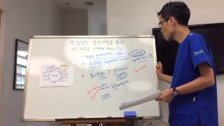 만암비풀 4.과립구의 세번째열쇠(3)--[내몸학당]