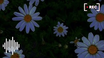سورة الذاريات بصوت الشيخ اسلام صبحي💗 // بدون اعلانات 🫀✨