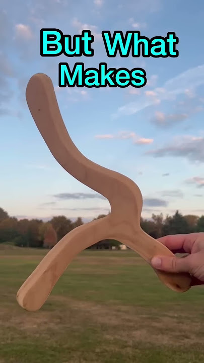 The Best BOOMERANG I’ve Ever Made 🪃🤯🎯#great #cool #boomerang #awesome #funny