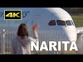 [4K] 22 Jets Close-up and Landing - Plane Spotting at Tokyo Narita International Airport / 成田空港