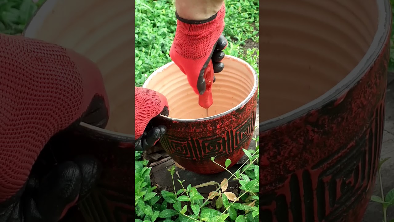 Dry Tree Trunk Decorating Ideas  -  Garden Decoration Life Hacks