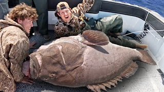 MONSTER Grouper Under Oil Rig!! Catch & Clean