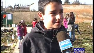 Los escolares de la SAFA aprenden también en un huerto