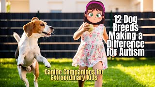 ❗12 Best Dog for Autism 🐩 Dog Therapy for Autism 🐕‍🦺 Autism Assistance Dog💥