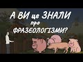 Що потрібно знати про фразеологізми?