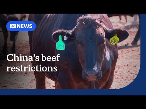 Which Country Imports The Most Australian Beef