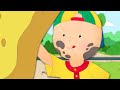 Caillou and the Chores | Caillou Cartoon