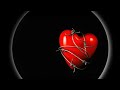 Ethiopian Traditional Music አበበ ልንገር Abebe Linger እኔ እሷን ላልተዋት ላኩላቸው ለነዛ አትሆንህም አትሆንሽም ለሚሏችሁ Music 