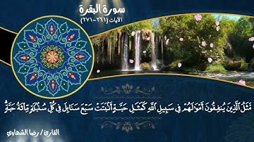 سوره البقره من الايه 261الي الايه 271