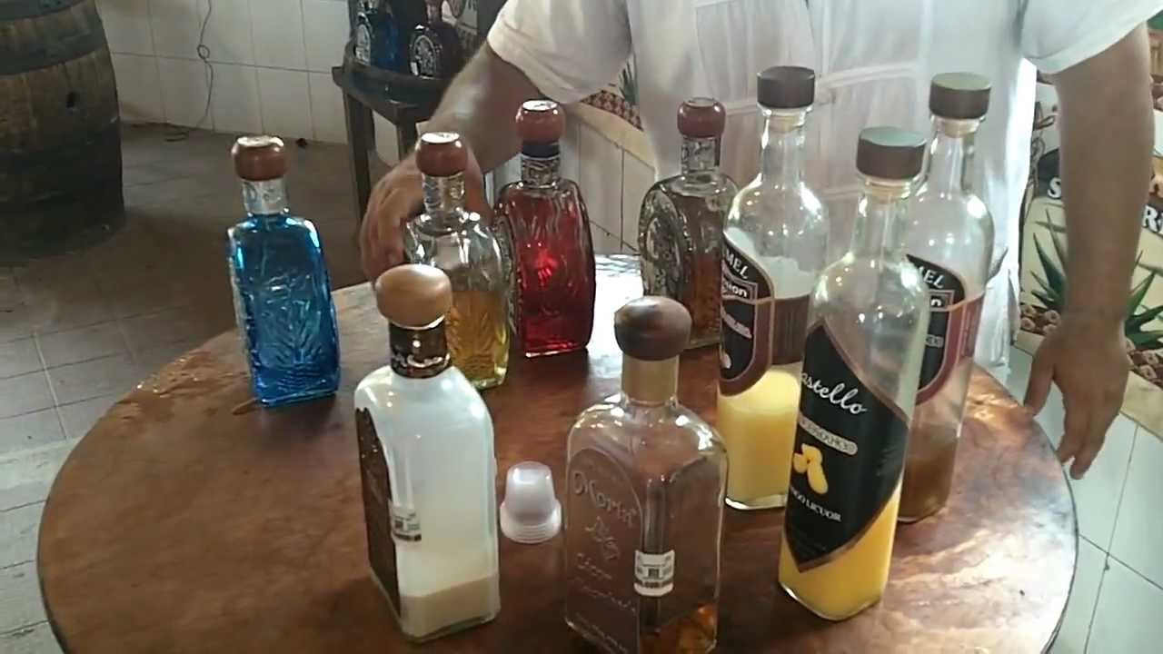 Day 6 of Cruise, Cozumel, Mexico at Organic Tequila Manufacture YouTube