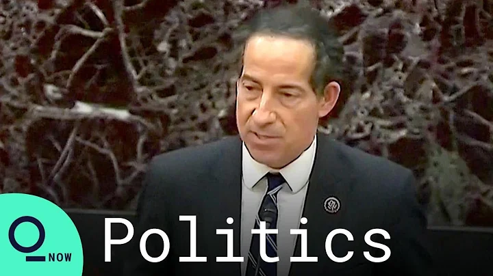 Jamie Raskin Reads Incitement of Insurrection Article Against Trump in Senate