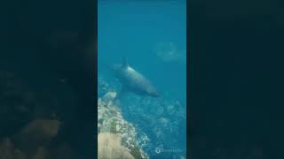 Marine Experts Reveal The HIDDEN World Of OCEANS
