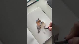 Weird birdie sketch in watercolor #art