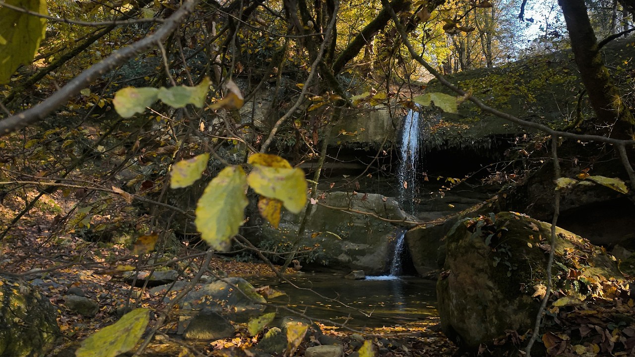 Autumn forest walk to Terez Waterfall | Mazandaran Iran Nature