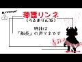 元・声を使うしゃちく？系社員だった潤舞リンネです！