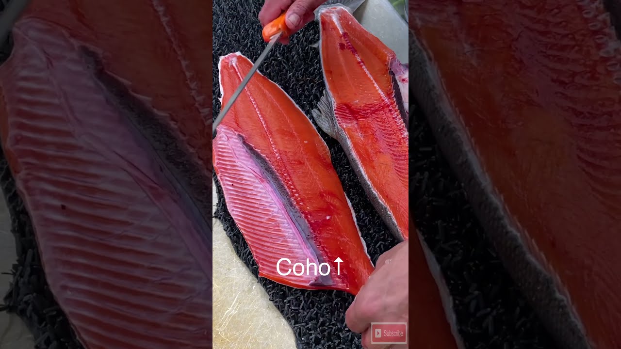 Must See Color Difference Of Red Vs Coho Salmon Alaska Fishing