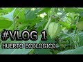 VLOG  |  Huerto 100% Ecológico || Permacultura 🌱