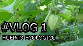 VLOG | Huerto 100% Ecológico || Permacultura 🌱