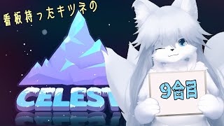 【celeste】もう寒いけど雪山行こう #9合目