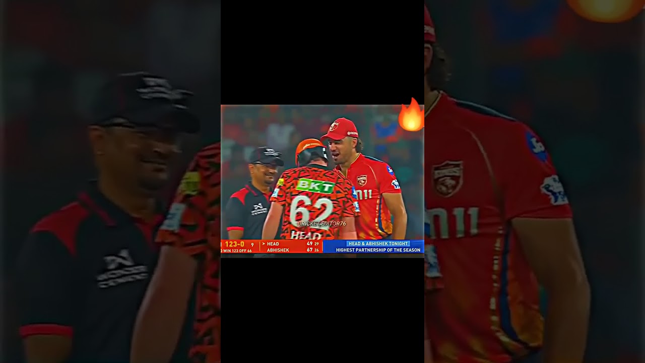 fight between Aussies in ipl 🔥