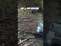 RC crawler powering up steep dirt hills, kicking dust the whole way. #scx10 #rccrawler #basecamp