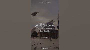 إني توكلت على الله ربي وربكم ما من دابة إلا هو آخذ ||#ماهر_المعيقلي #سورة_هود |