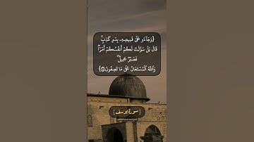 سورة يوسف الآية ١٧ و ١٨ بصوت الشيخ محمد صديق المنشاوي