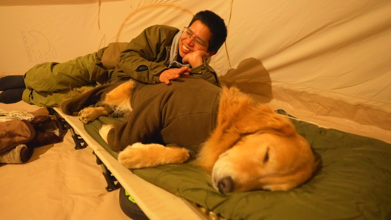 友人のベッドを占領して全く起きる気配の無い愛犬ww