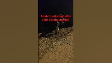 Allah Güç Kuvvet Versin #القارئ_محمد_هشام_حسن #تلاوة_هادئة #محمد_هشام #سورة_يس