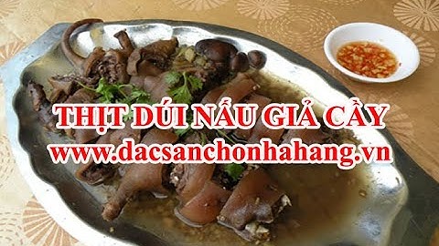 Hướng Dẫn Thịt Dúi Nấu Giả Cầy