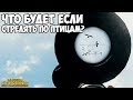 ЧТО БУДЕТ ЕСЛИ СТРЕЛЯТЬ ПО ПТИЦАМ? - PUBG