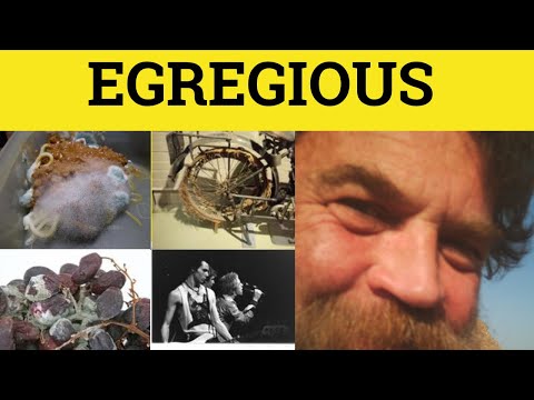 🔵 Egregious - Egregious Meaning - Egregious Examples - GRE 3500 Vocabulary