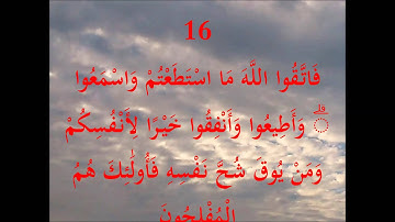 سورة التغابن 64 ايات 13 الى 18
