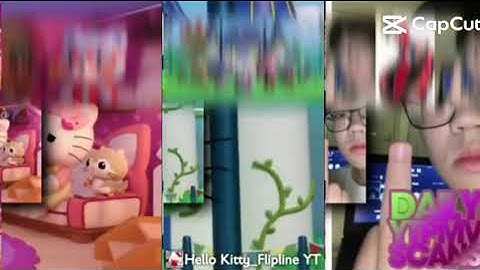 190 Shuric scans with are slides v23