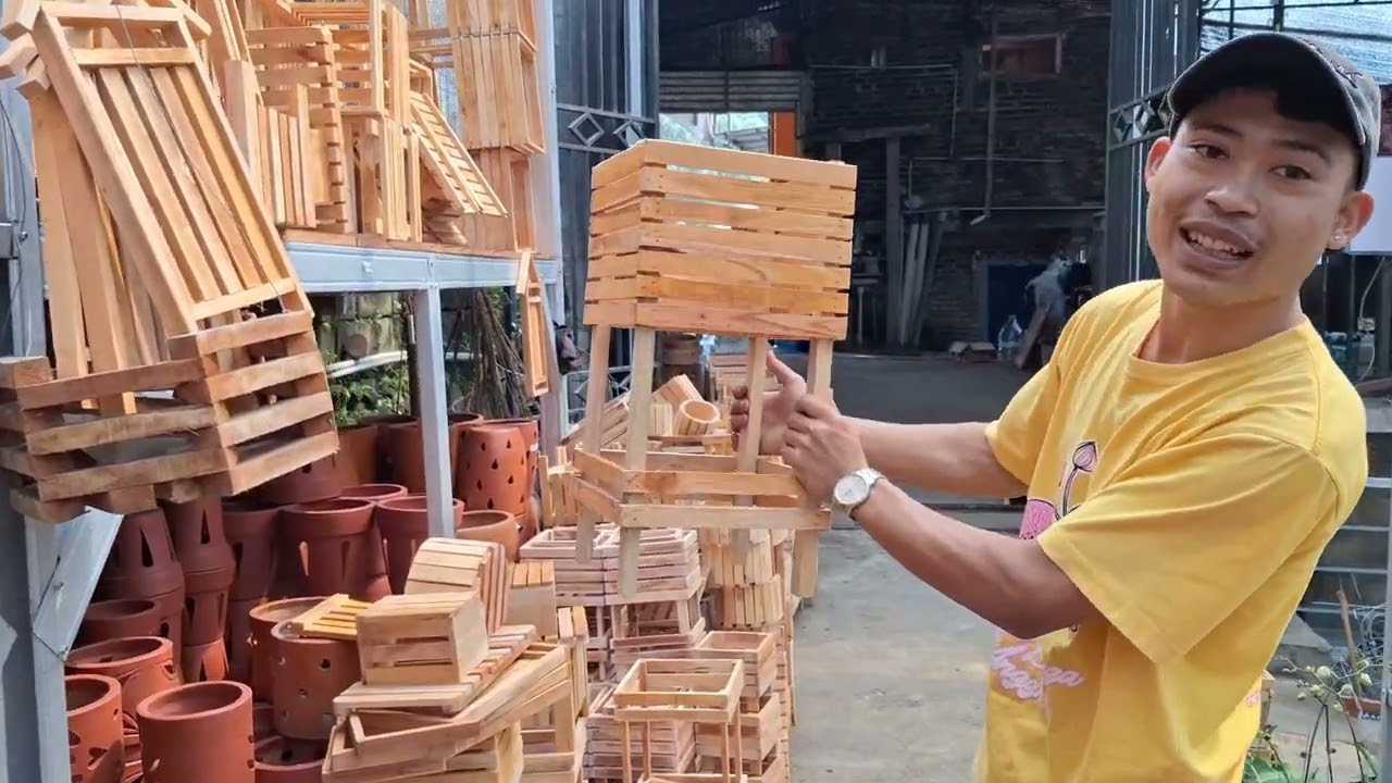 Wajib Di Tonton⁉️Repoting Dendro Jumbo🥳