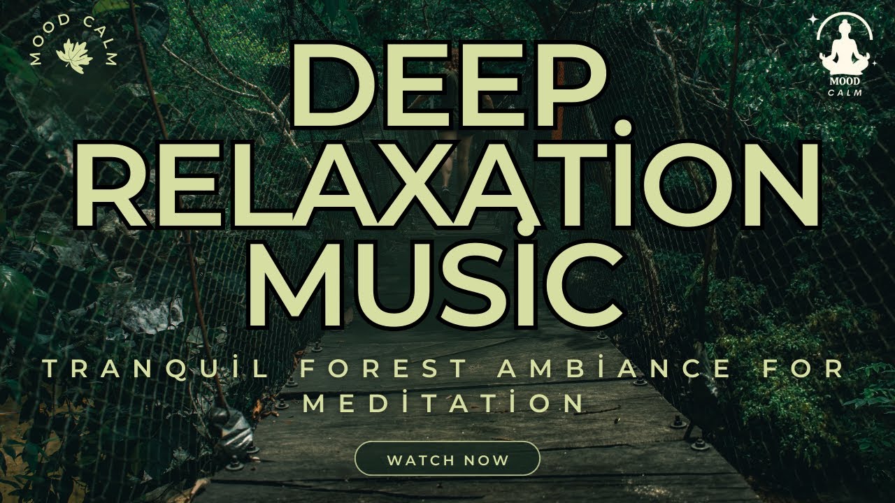 A Guided Meditation | Deep Relaxation Music | Tranquil Forest Ambiance ...