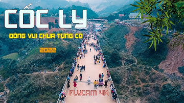 CỐC LY BẮC HÀ LÀO CAI [FLYCAM 4K] chưa bao giờ đông như vậy
