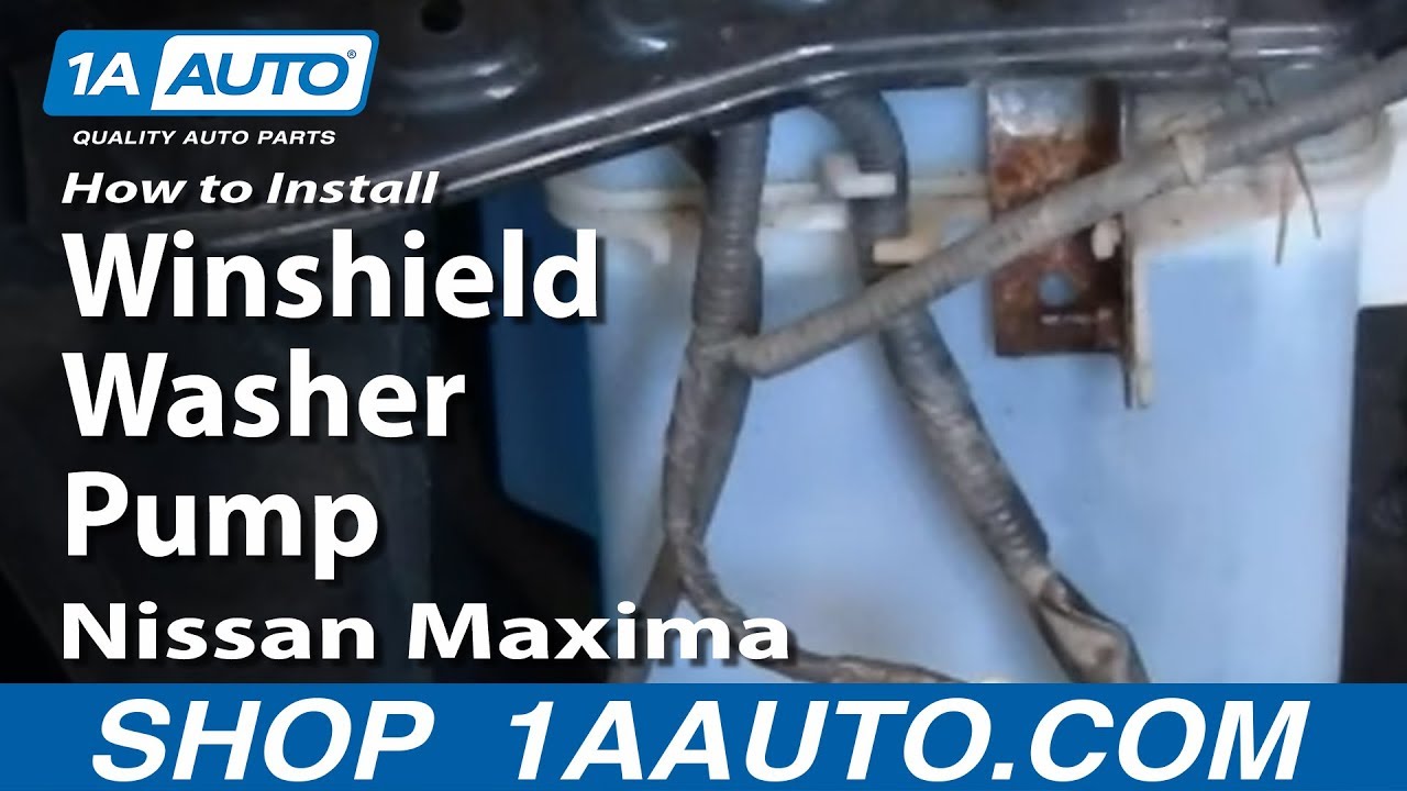 Nissan Maxima: Washing Nissan Maxima: Washing